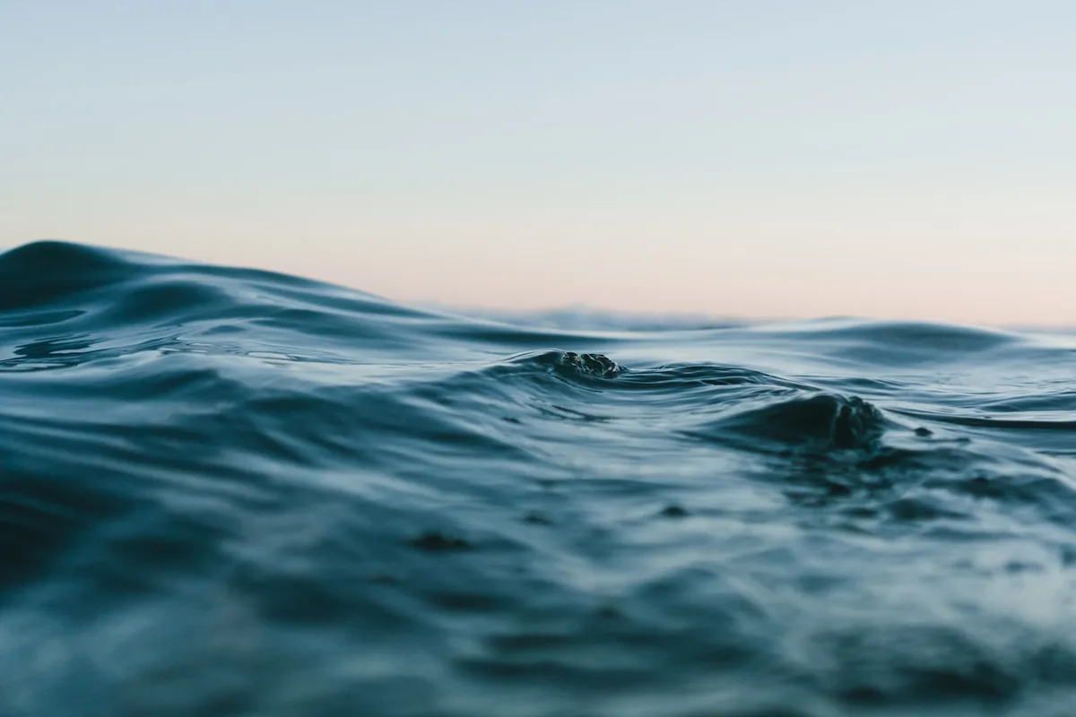 Underwater marine scene placeholder